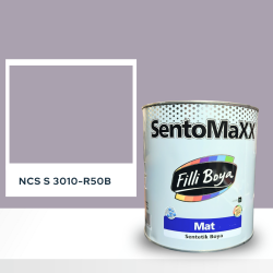 Filli Boya Sentomaxx Boya NCS S 3010-R50B