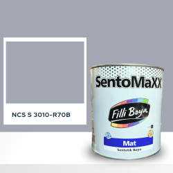 Filli Boya Sentomaxx Boya NCS S 3010-R70B