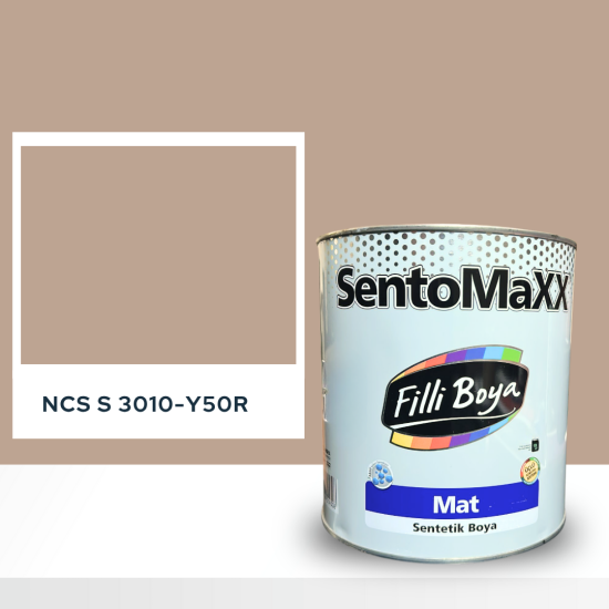 Filli Boya Sentomaxx Boya NCS S 3010-Y50R
