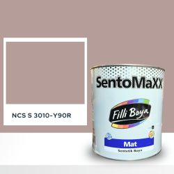 Filli Boya Sentomaxx Boya NCS S 3010-Y90R