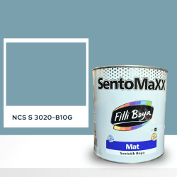 Filli Boya Sentomaxx Boya NCS S 3020-B10G