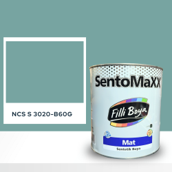 Filli Boya Sentomaxx Boya NCS S 3020-B60G