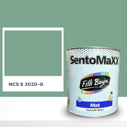 Filli Boya Sentomaxx Boya NCS S 3020-G