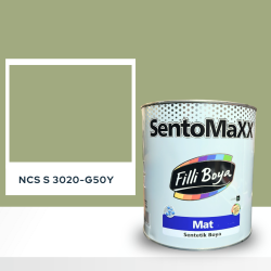 Filli Boya Sentomaxx Boya NCS S 3020-G50Y