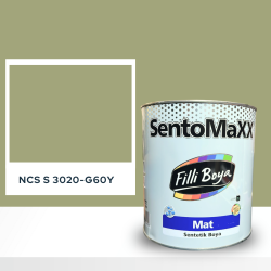 Filli Boya Sentomaxx Boya NCS S 3020-G60Y