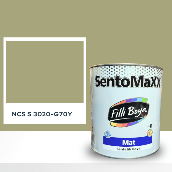 Filli Boya Sentomaxx Boya NCS S 3020-G70Y