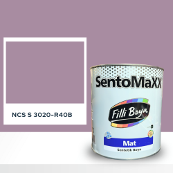 Filli Boya Sentomaxx Boya NCS S 3020-R40B