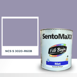Filli Boya Sentomaxx Boya NCS S 3020-R60B