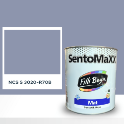 Filli Boya Sentomaxx Boya NCS S 3020-R70B