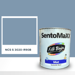 Filli Boya Sentomaxx Boya NCS S 3020-R90B