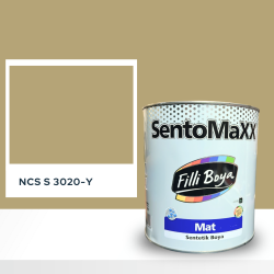 Filli Boya Sentomaxx Boya NCS S 3020-Y