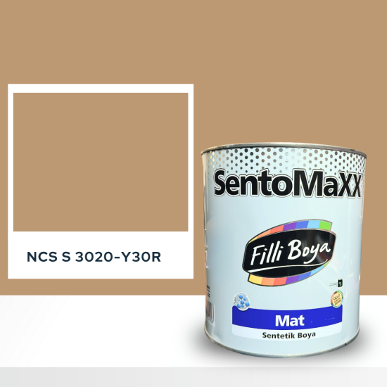 Filli Boya Sentomaxx Boya NCS S 3020-Y30R