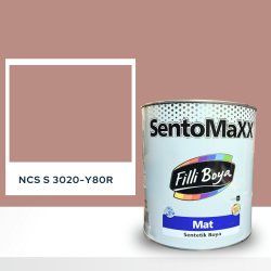 Filli Boya Sentomaxx Boya NCS S 3020-Y80R
