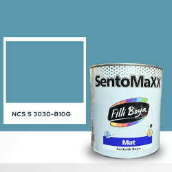 Filli Boya Sentomaxx Boya NCS S 3030-B10G