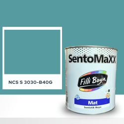Filli Boya Sentomaxx Boya NCS S 3030-B40G