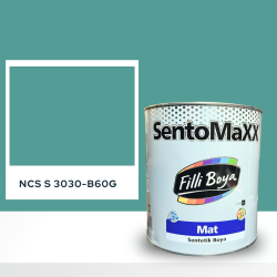 Filli Boya Sentomaxx Boya NCS S 3030-B60G