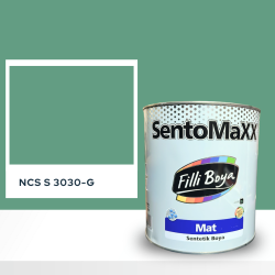 Filli Boya Sentomaxx Boya NCS S 3030-G