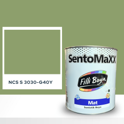 Filli Boya Sentomaxx Boya NCS S 3030-G40Y