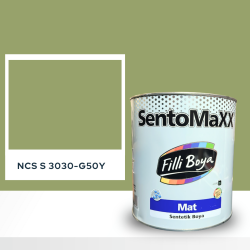 Filli Boya Sentomaxx Boya NCS S 3030-G50Y