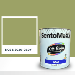Filli Boya Sentomaxx Boya NCS S 3030-G60Y