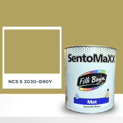 Filli Boya Sentomaxx Boya NCS S 3030-G90Y