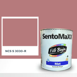 Filli Boya Sentomaxx Boya NCS S 3030-R