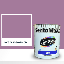 Filli Boya Sentomaxx Boya NCS S 3030-R40B