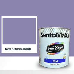 Filli Boya Sentomaxx Boya NCS S 3030-R60B