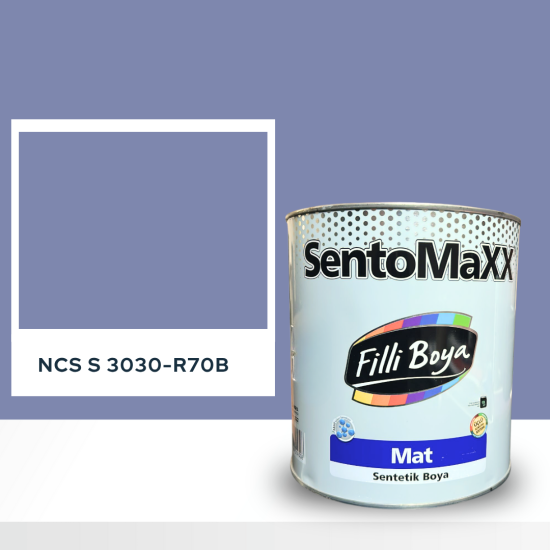 Filli Boya Sentomaxx Boya NCS S 3030-R70B