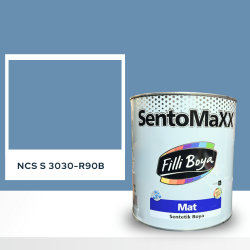 Filli Boya Sentomaxx Boya NCS S 3030-R90B