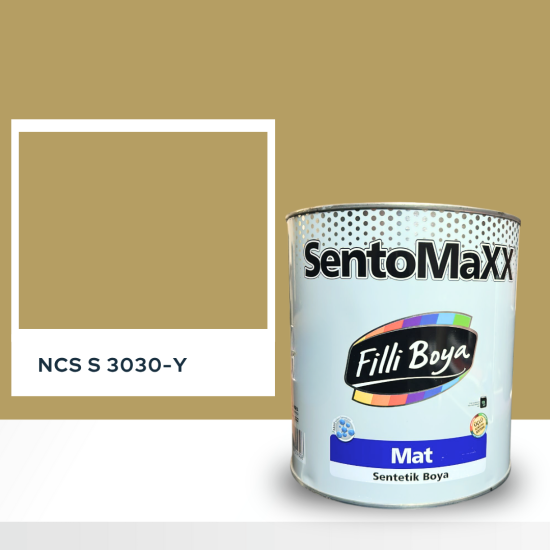 Filli Boya Sentomaxx Boya NCS S 3030-Y