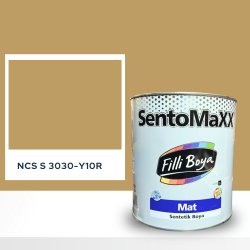 Filli Boya Sentomaxx Boya NCS S 3030-Y10R