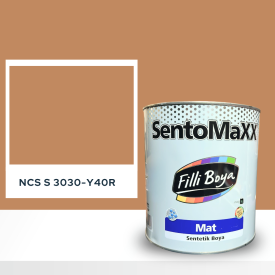 Filli Boya Sentomaxx Boya NCS S 3030-Y40R