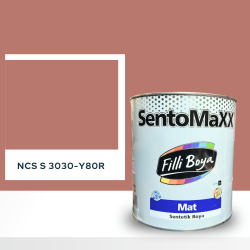 Filli Boya Sentomaxx Boya NCS S 3030-Y80R