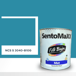 Filli Boya Sentomaxx Boya NCS S 3040-B10G