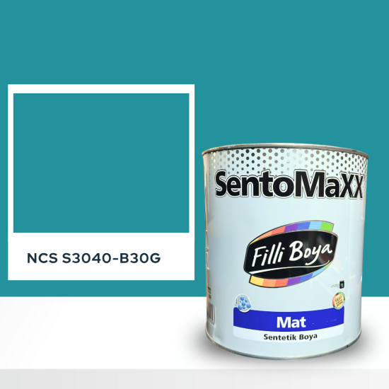 Filli Boya Sentomaxx Boya NCS S 3040-B30G