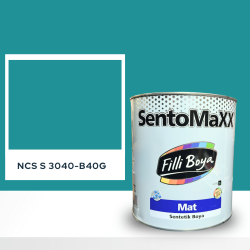 Filli Boya Sentomaxx Boya NCS S 3040-B40G