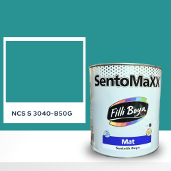 Filli Boya Sentomaxx Boya NCS S 3040-B50G