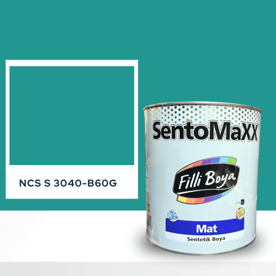 Filli Boya Sentomaxx Boya NCS S 3040-B60G
