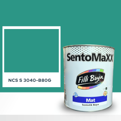 Filli Boya Sentomaxx Boya NCS S 3040-B80G