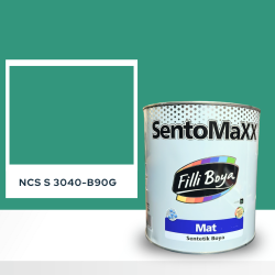 Filli Boya Sentomaxx Boya NCS S 3040-B90G