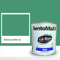 Filli Boya Sentomaxx Boya NCS S 3040-G
