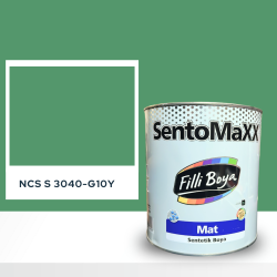 Filli Boya Sentomaxx Boya NCS S 3040-G10Y