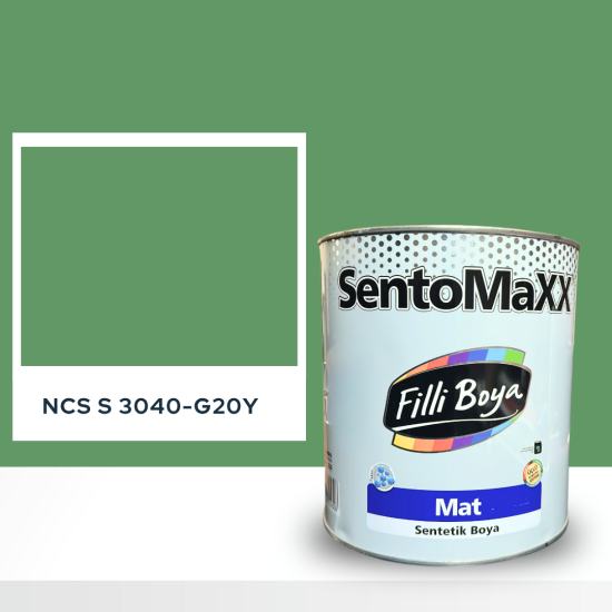 Filli Boya Sentomaxx Boya NCS S 3040-G20Y