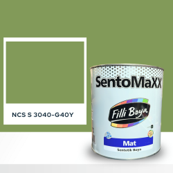 Filli Boya Sentomaxx Boya NCS S 3040-G40Y