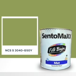 Filli Boya Sentomaxx Boya NCS S 3040-G50Y