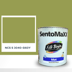 Filli Boya Sentomaxx Boya NCS S 3040-G60Y