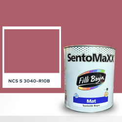 Filli Boya Sentomaxx Boya NCS S 3040-R10B