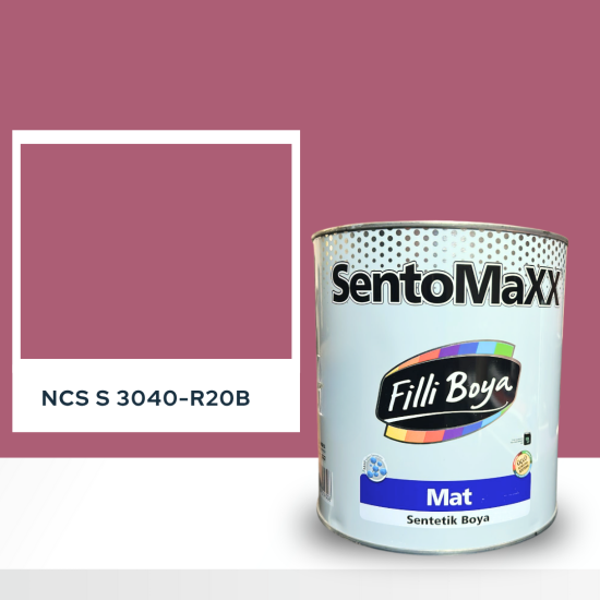 Filli Boya Sentomaxx Boya NCS S 1060-G20Y
