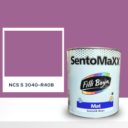 Filli Boya Sentomaxx Boya NCS S 3040-R40B